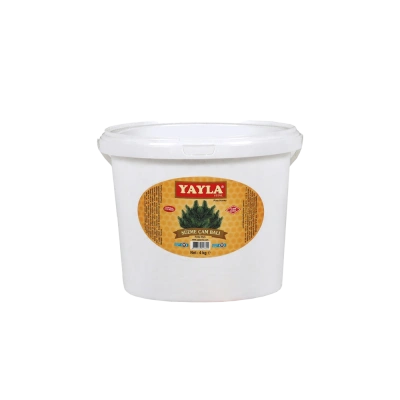Yayla Süzme Çam Salgı Balı 4 Kg (Kova)