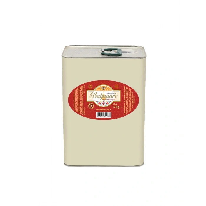 Balpınarı Süzme Çiçek Balı 5 Kg Kova / Teneke