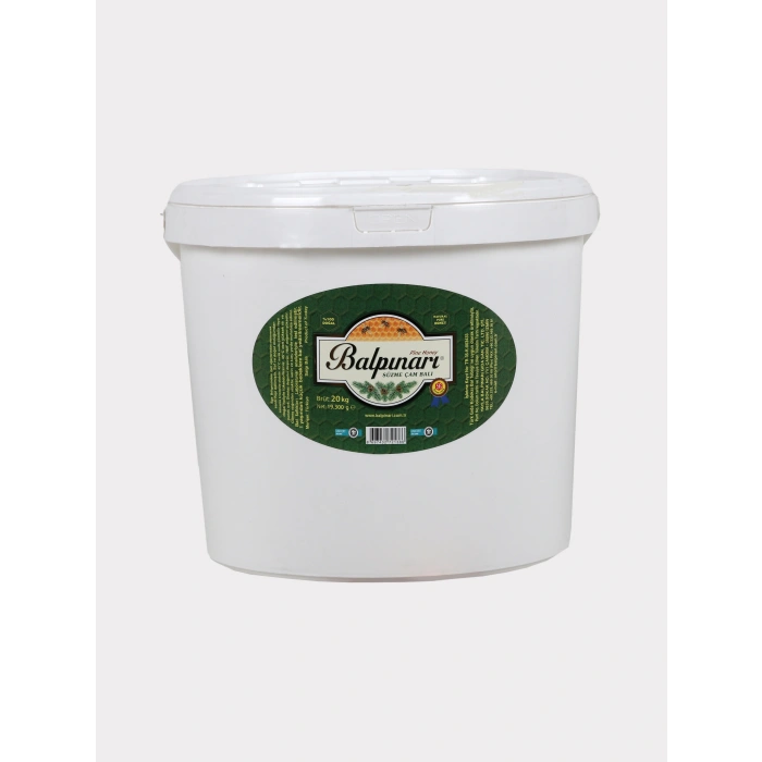 Balpınarı Süzme Çam Balı 20 Kg