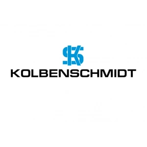 BMW E87/E90 N40/N42/N45 MOTORLAR İÇİN UYGUN 0.50 ÖLÇÜ PİSTON