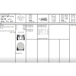BMW M54 B30 MOTORLAR İÇİN STD ÖLÇÜ PİSTON NÜRAL