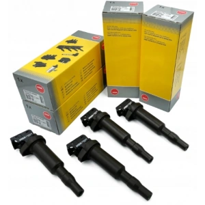 F20/F30/F10 N13/N20 MOTOR ATEŞLAME BOBİNİ NGK