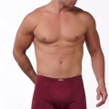 GÜMÜŞ ERKEK BAMBU İNCE BEL BOXER BORDO
