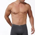 GÜMÜŞ ERKEK BAMBU İNCE BEL BOXER FÜME