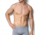 GÜMÜŞ ERKEK LİKRALI BOXER GRİ