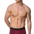 GÜMÜŞ ERKEK LİKRALI SPOR BOXER BORDO