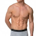 GÜMÜŞ ERKEK LİKRALI SPOR BOXER GRİ