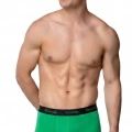 GÜMÜŞ ERKEK LİKRALI SPOR BOXER YEŞİL