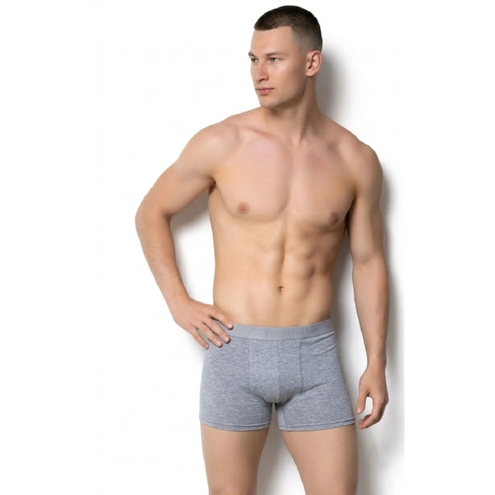 GÜMÜŞ ERKEK LİKRALI BOXER GRİ