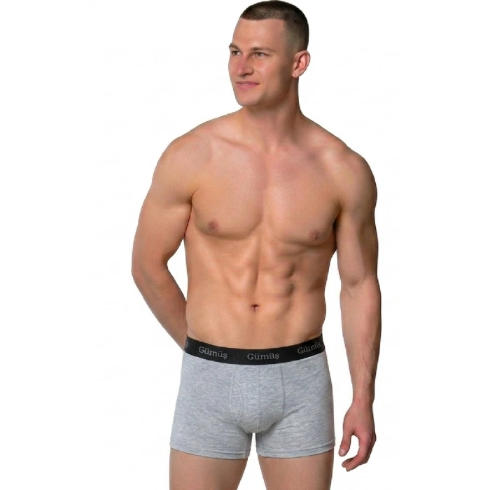 GÜMÜŞ ERKEK LİKRALI SPOR BOXER GRİ