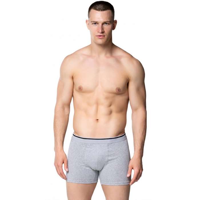 SEDEF ERKEK PENYE LİKRALI BOXER GRİ