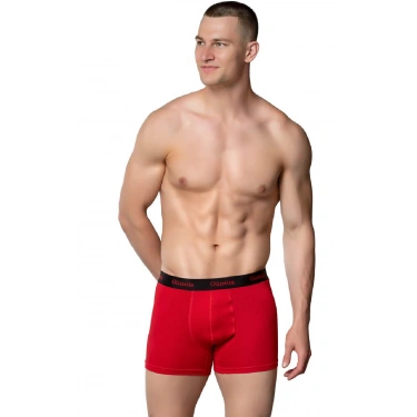 GÜMÜŞ ERKEK LİKRALI SPOR BOXER KIRMIZI
