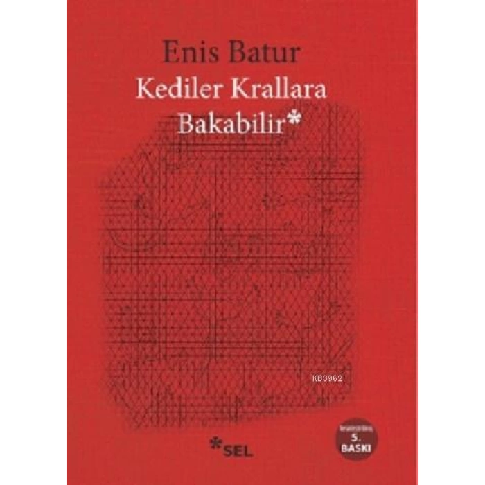 Kediler Krallara Bakabilir