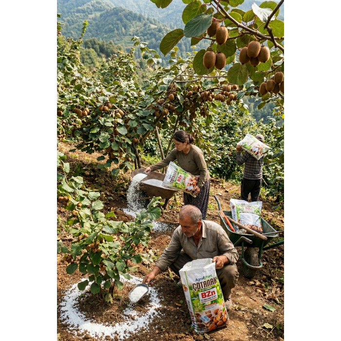 Agroplant Çotanak BZn Gübre 10 kg