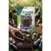 Çoker Aydın Siyah Patlıcan Tohumu 25 GR