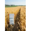 Akademi Tohum Çim Tohumu 4lü Karışım 1 Kg
