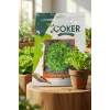 Çoker İri Kıvırcık Marul Tohumu 10 Gr