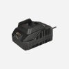 Rtrmax Smart Lion RTS5008 Şarj Cihazı 20V 2.2A
