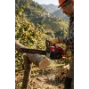 Yaprak Benzinli Ağaç Testeresi 3 Hp 36 Diş