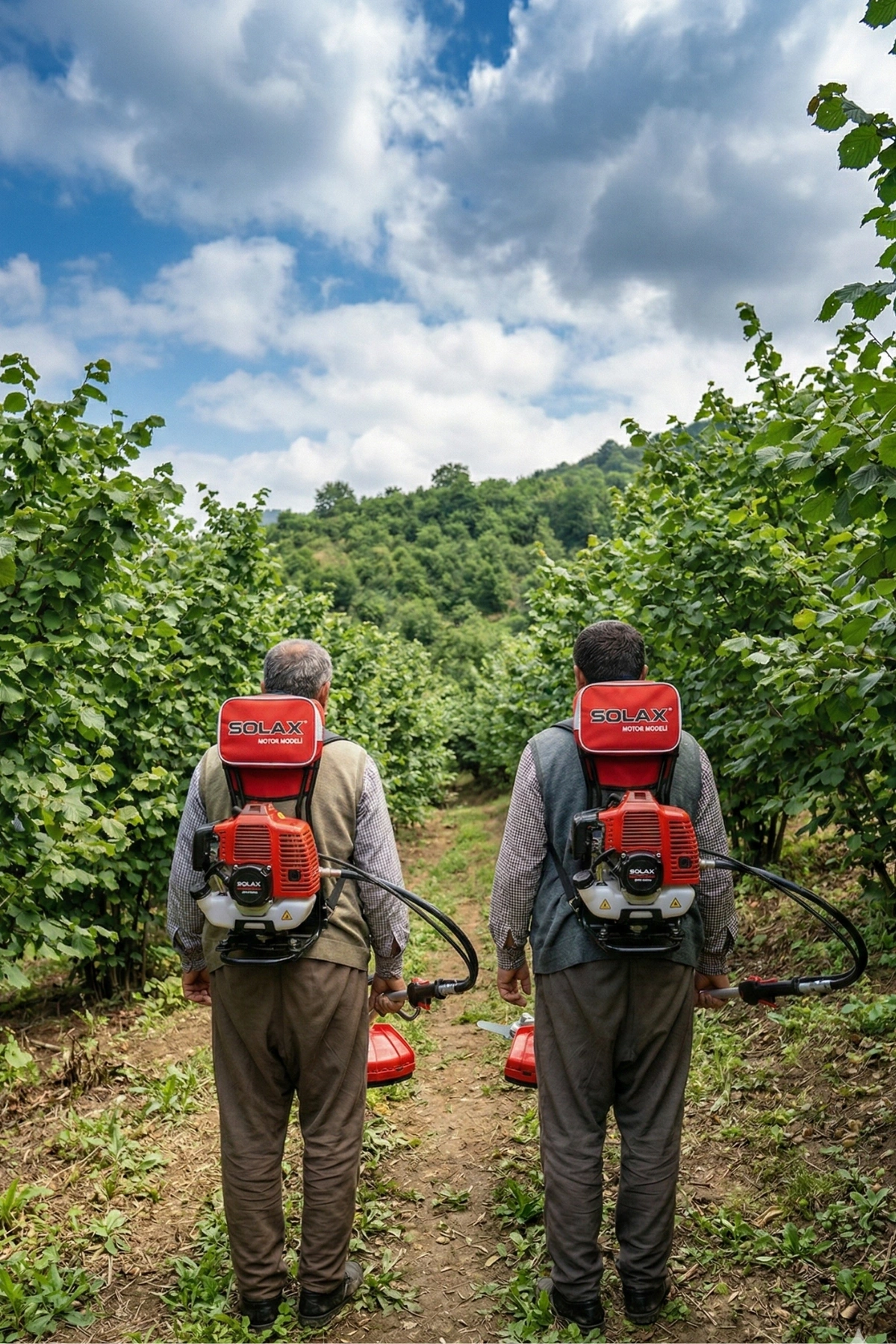 Solax BGTC64 Sırt Tırpan Motoru