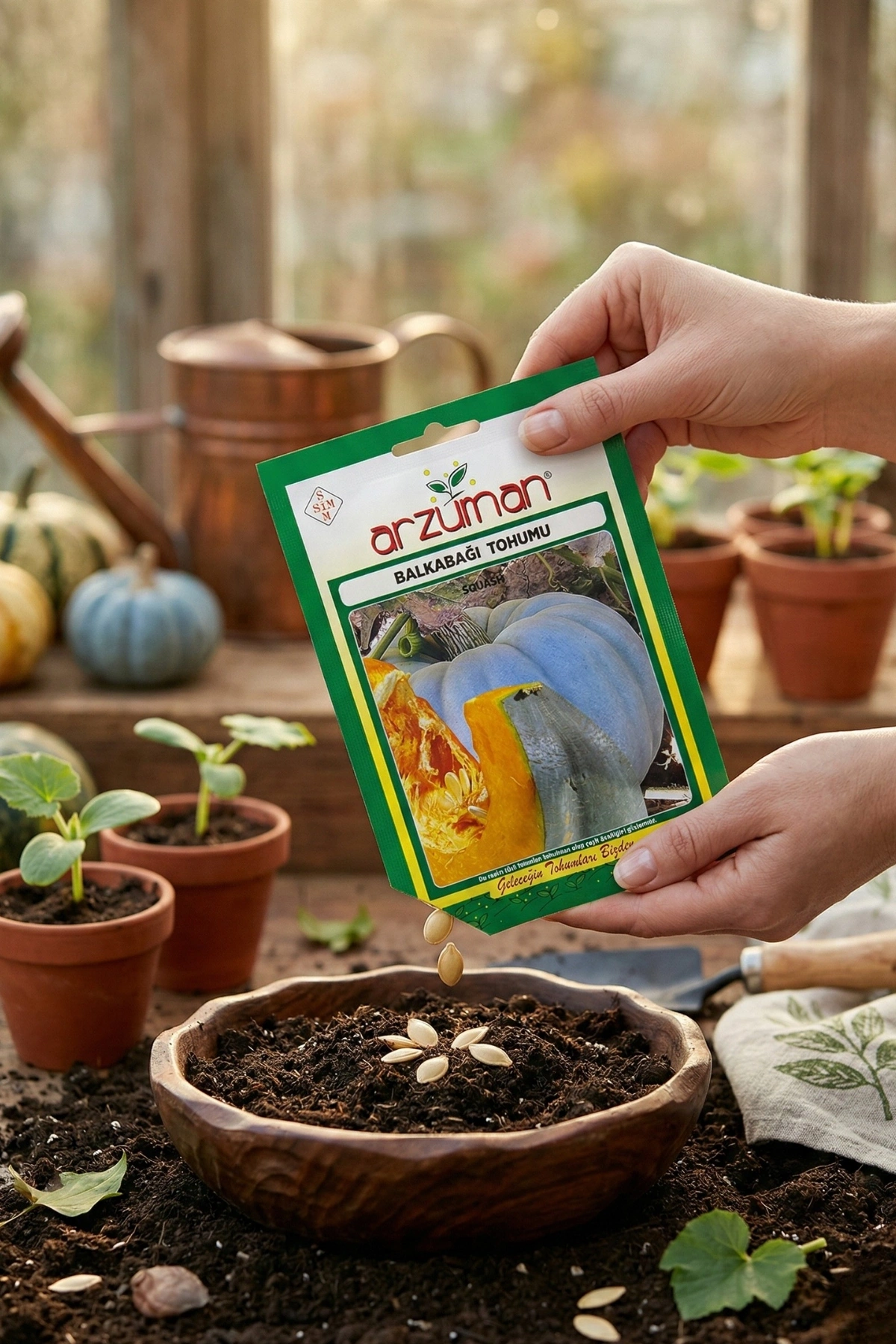 Arzuman Bal Kabağı Tohumu