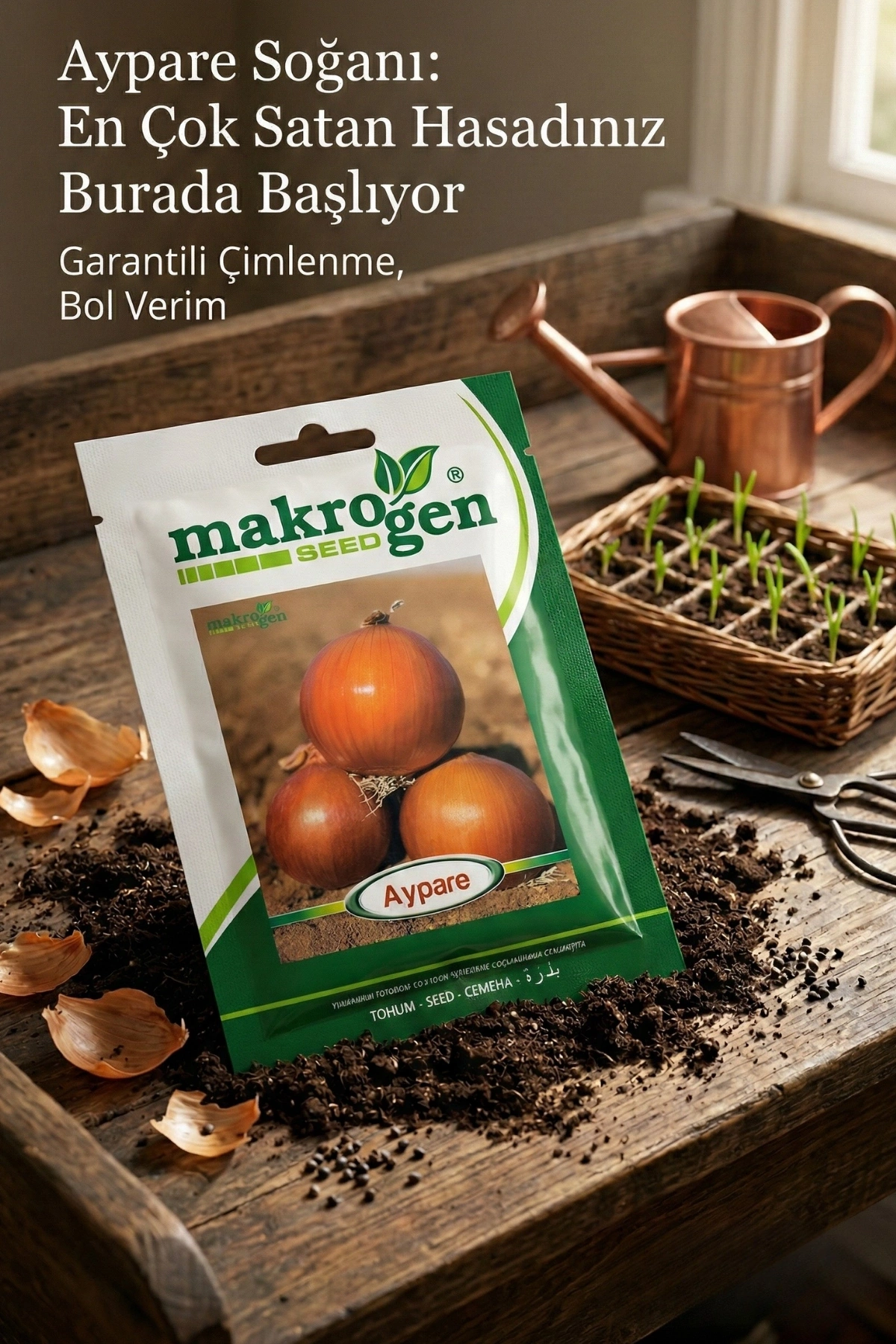 Makrogen Aypare Soğan Tohumu 10 gr