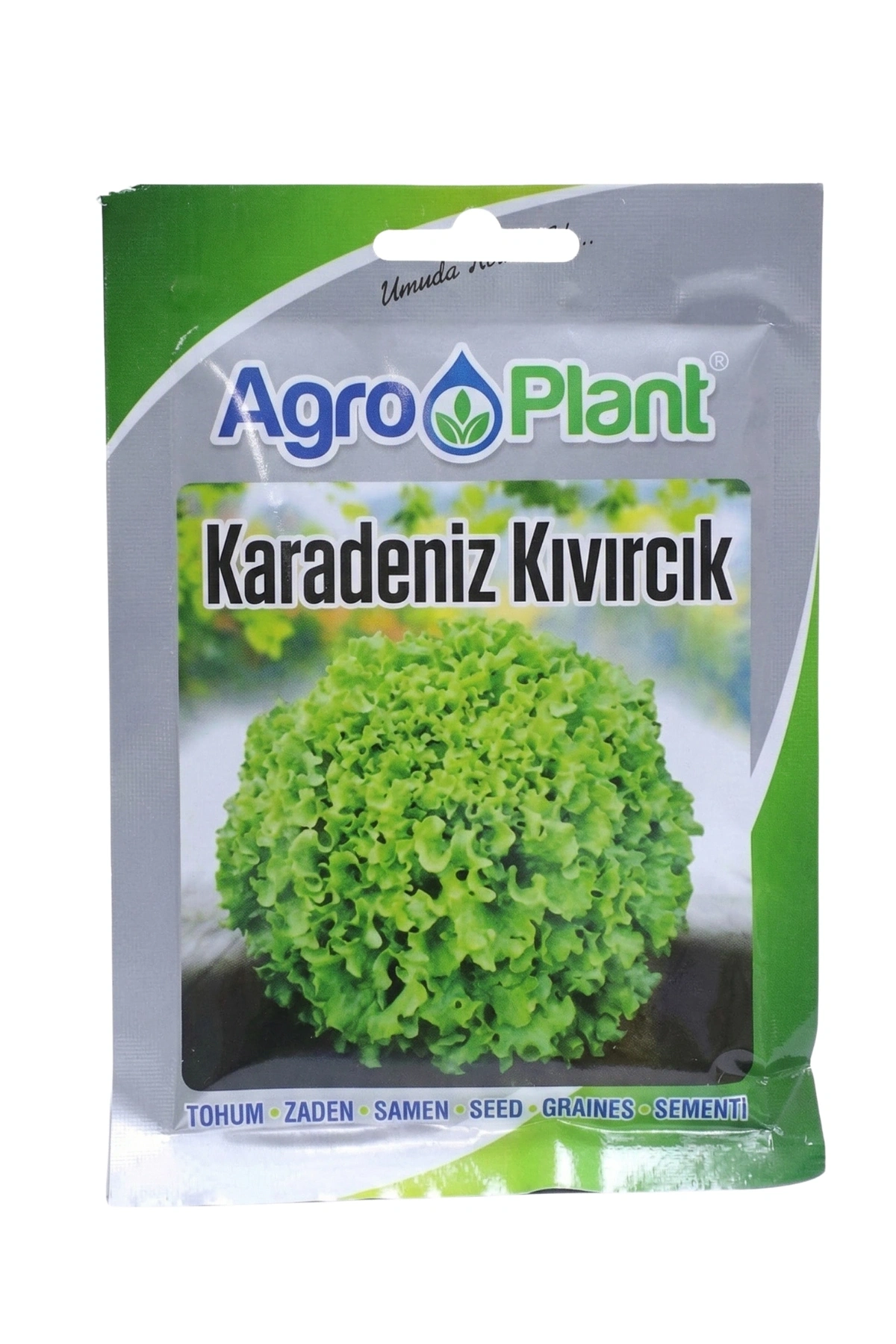 Agroplant Karadeniz Kıvırcık Marul Tohumu 25 gr