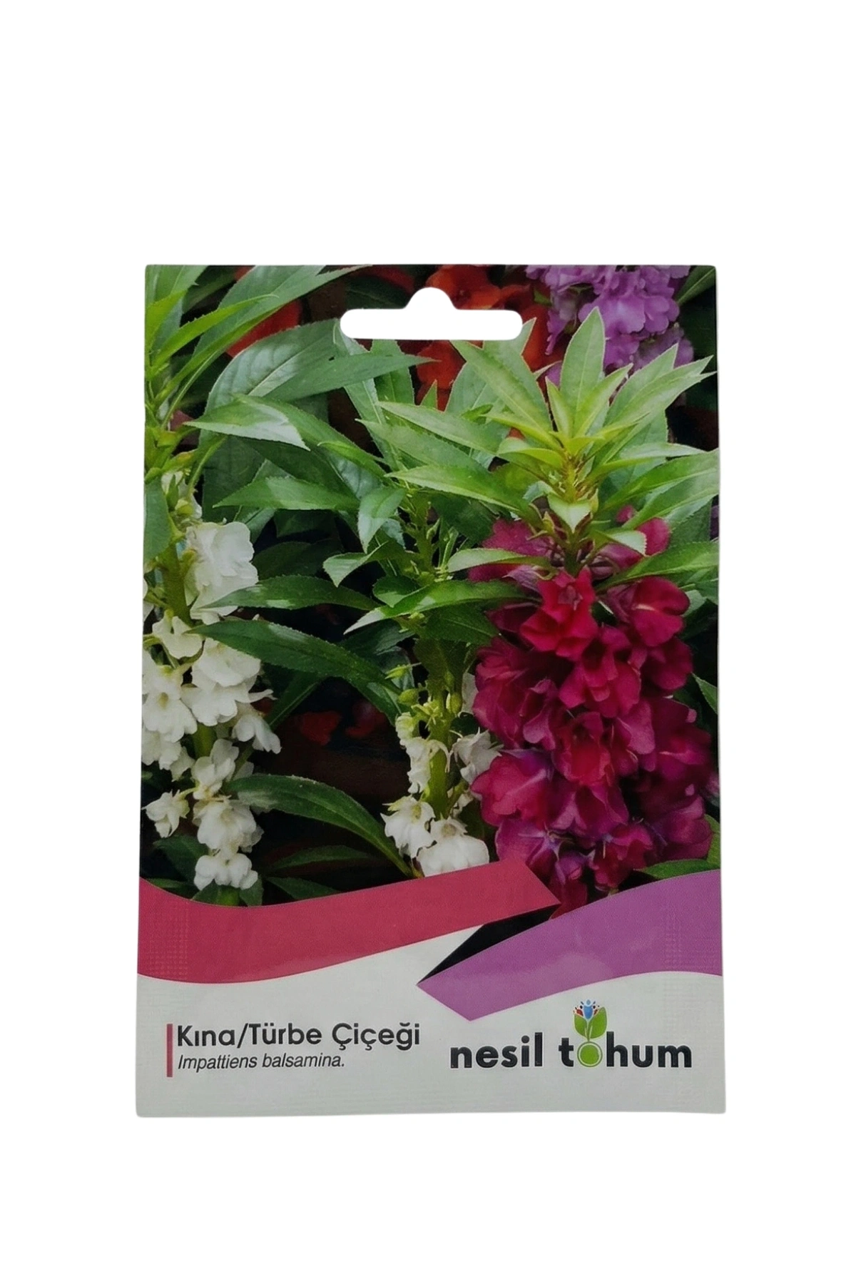 Nesil Tohum Kına/Türbe Tohumu (30Adet)