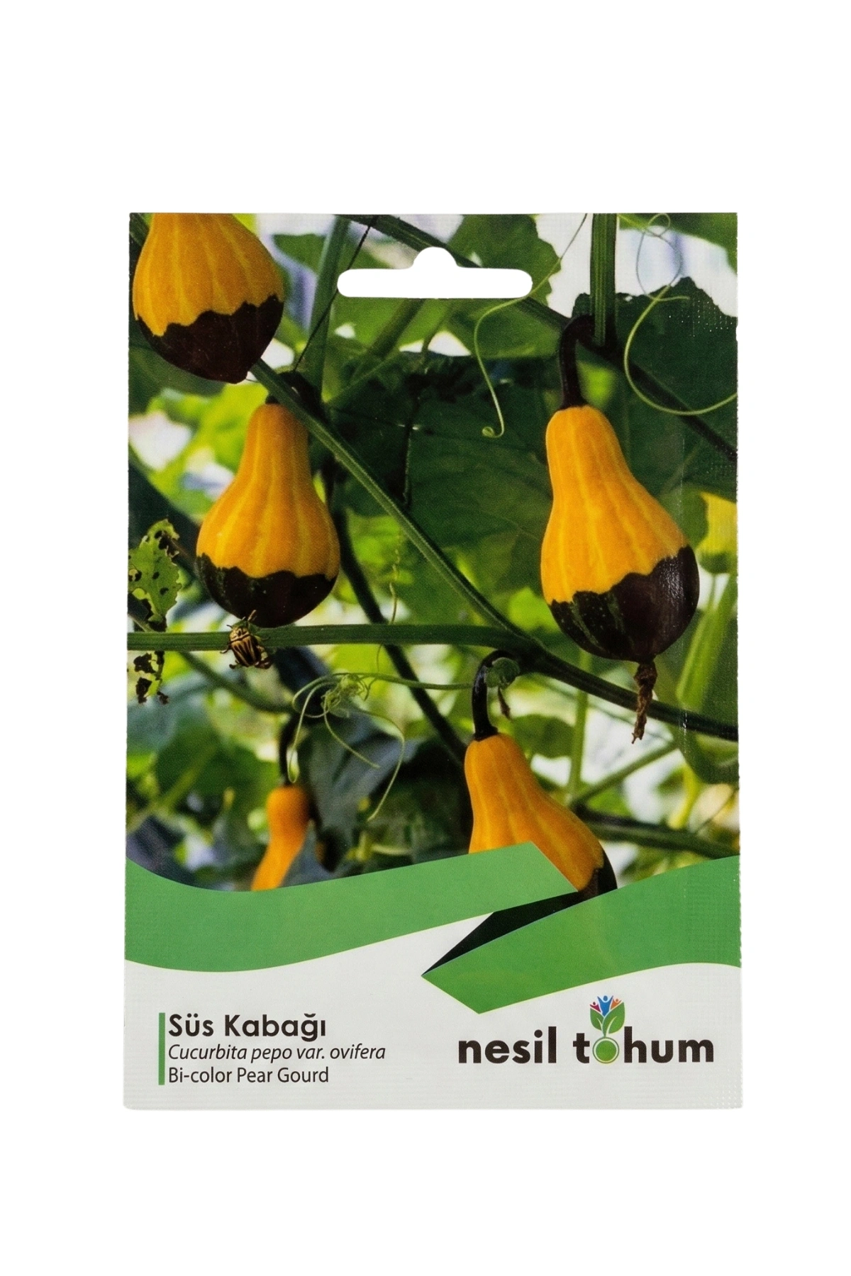 Nesil Tohum Süs Kabağı Tohumu (10 Adet)