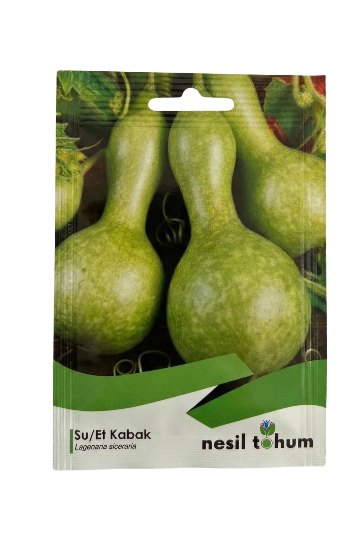 Nesil Tohum Su/Et Kabak Tohumu (5 Adet)