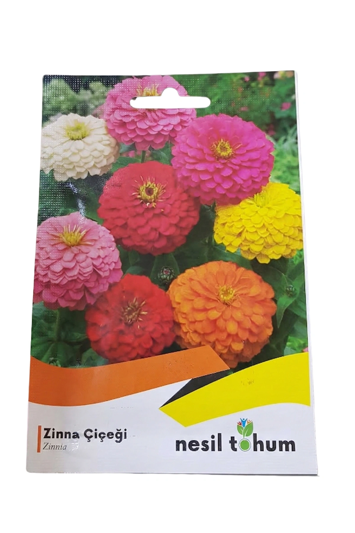 Nesil Tohum Zinna Çiçeği Tohumu (30Adet)