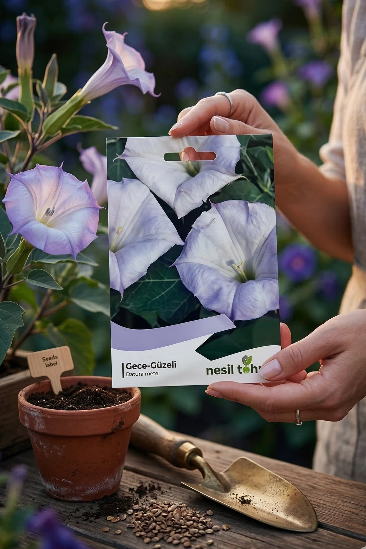 Nesil Tohum Gece Güzeli Tohumu (15 Adet)