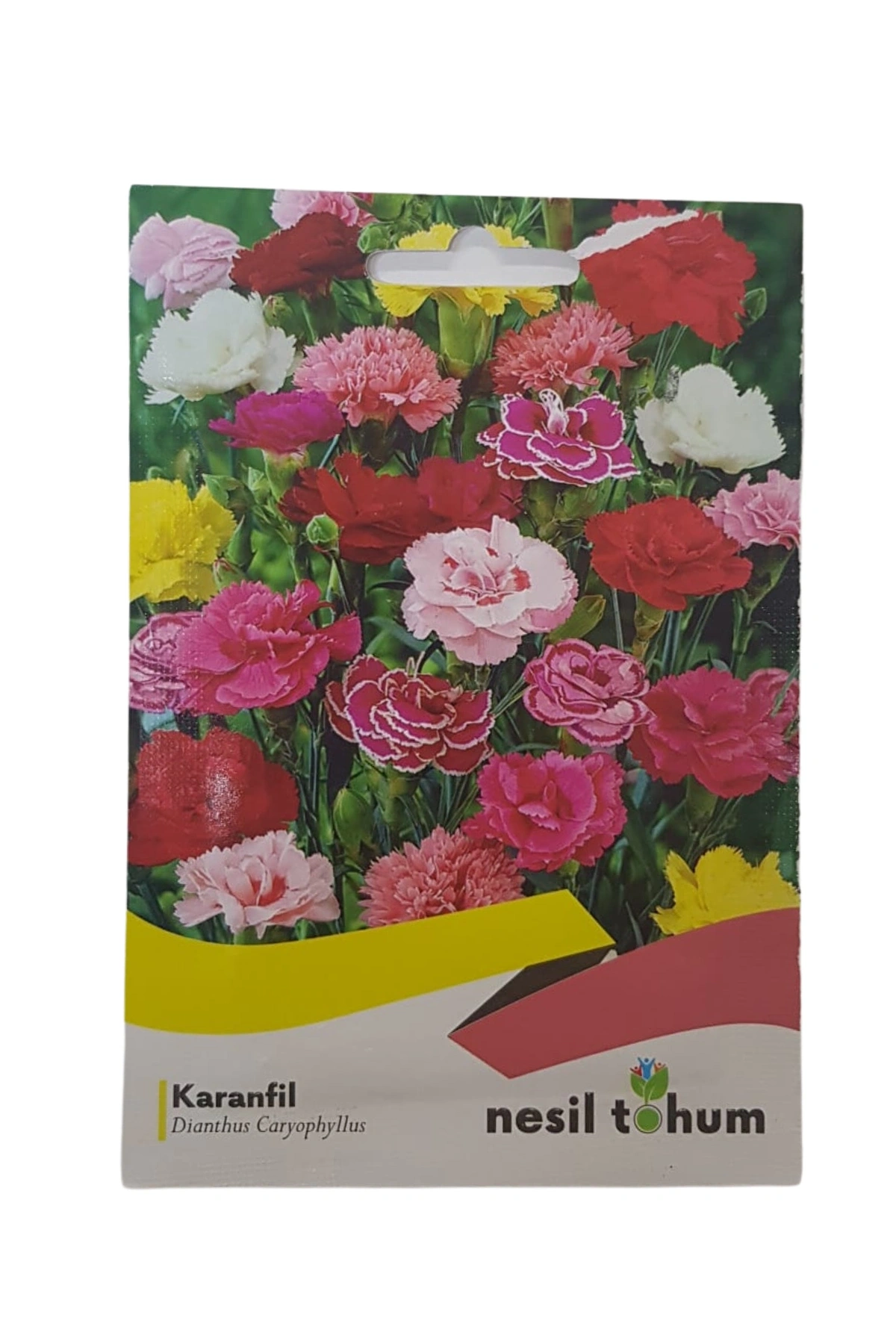 Karanfil Çiçeği Tohumu