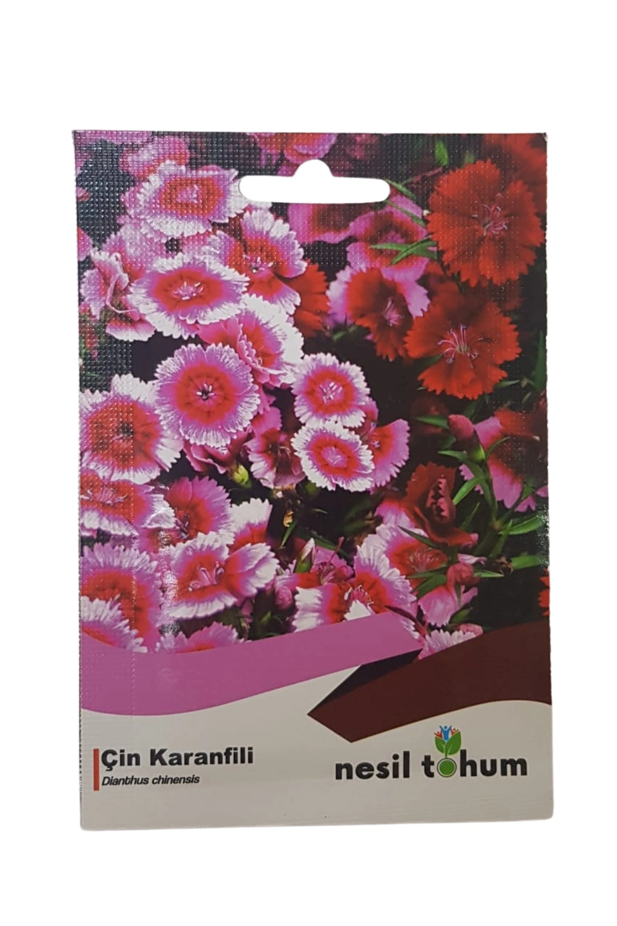 Çin Karanfil Çiçeği Tohumu