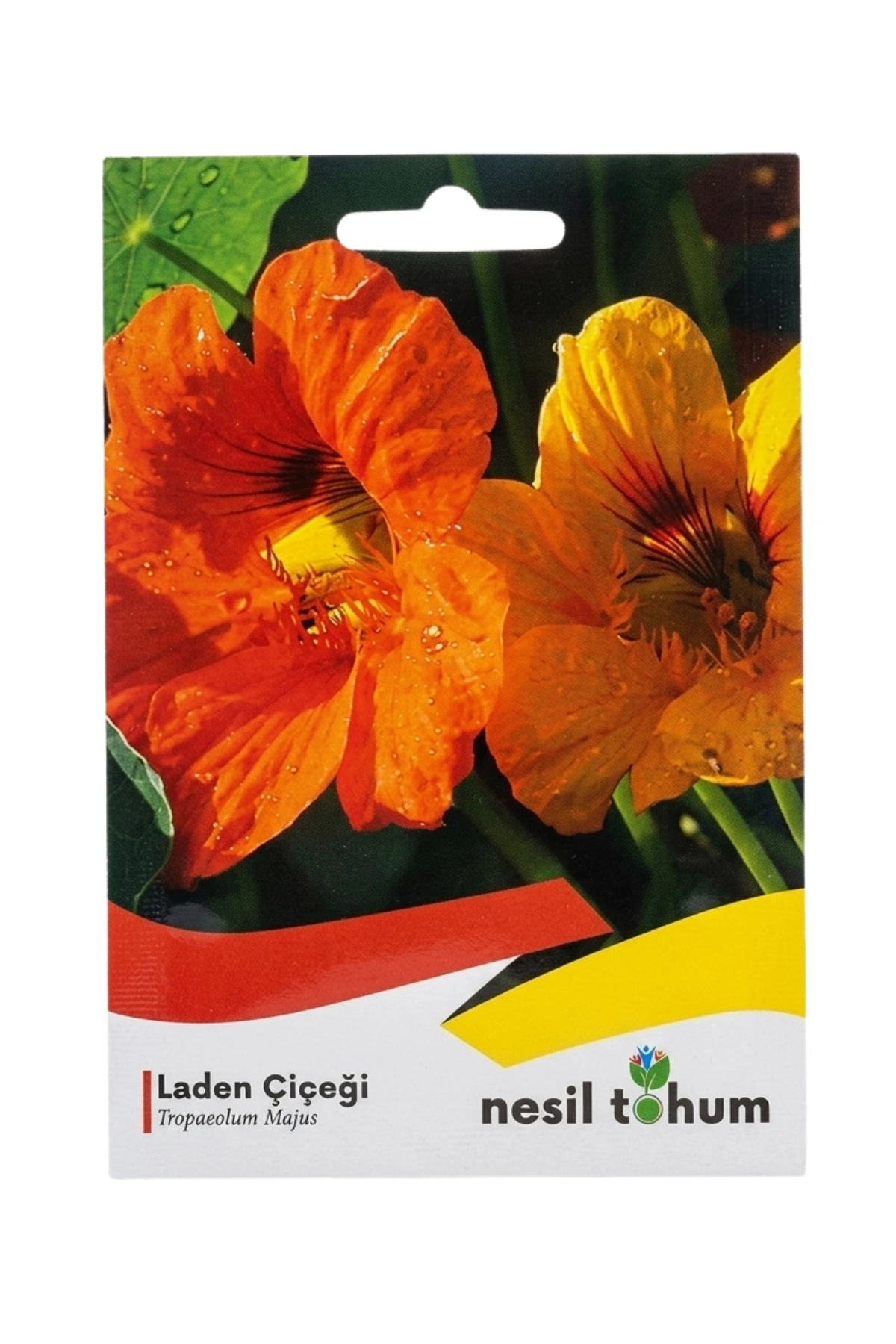 Laden Çiçeği Tohumu