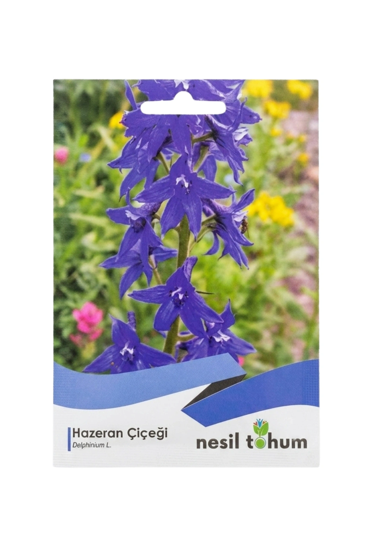 Hazeran Çiçeği Tohumu