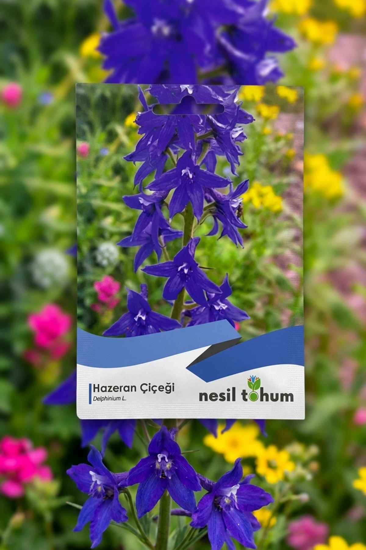 Hazeran Çiçeği Tohumu