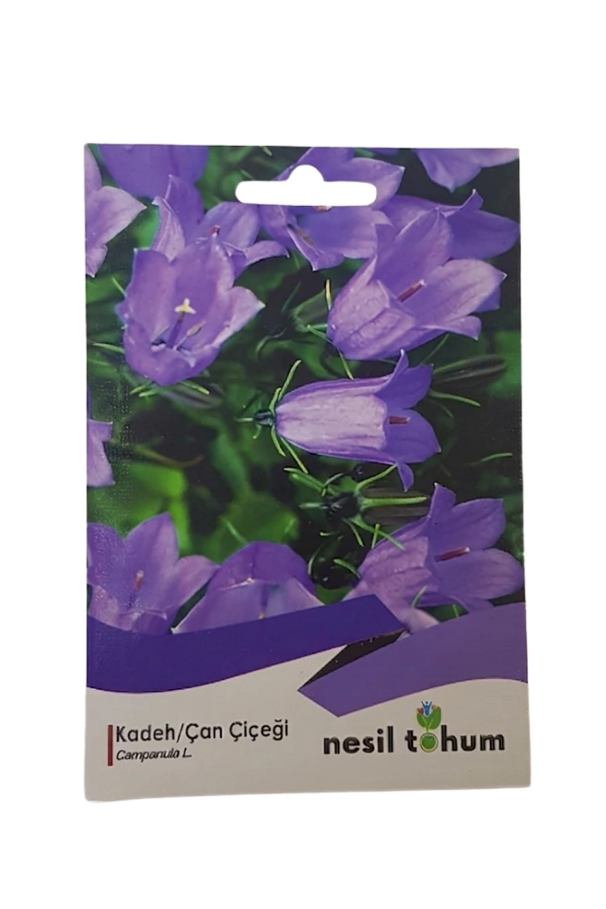 Kadeh/Çan Çiçeği Tohumu