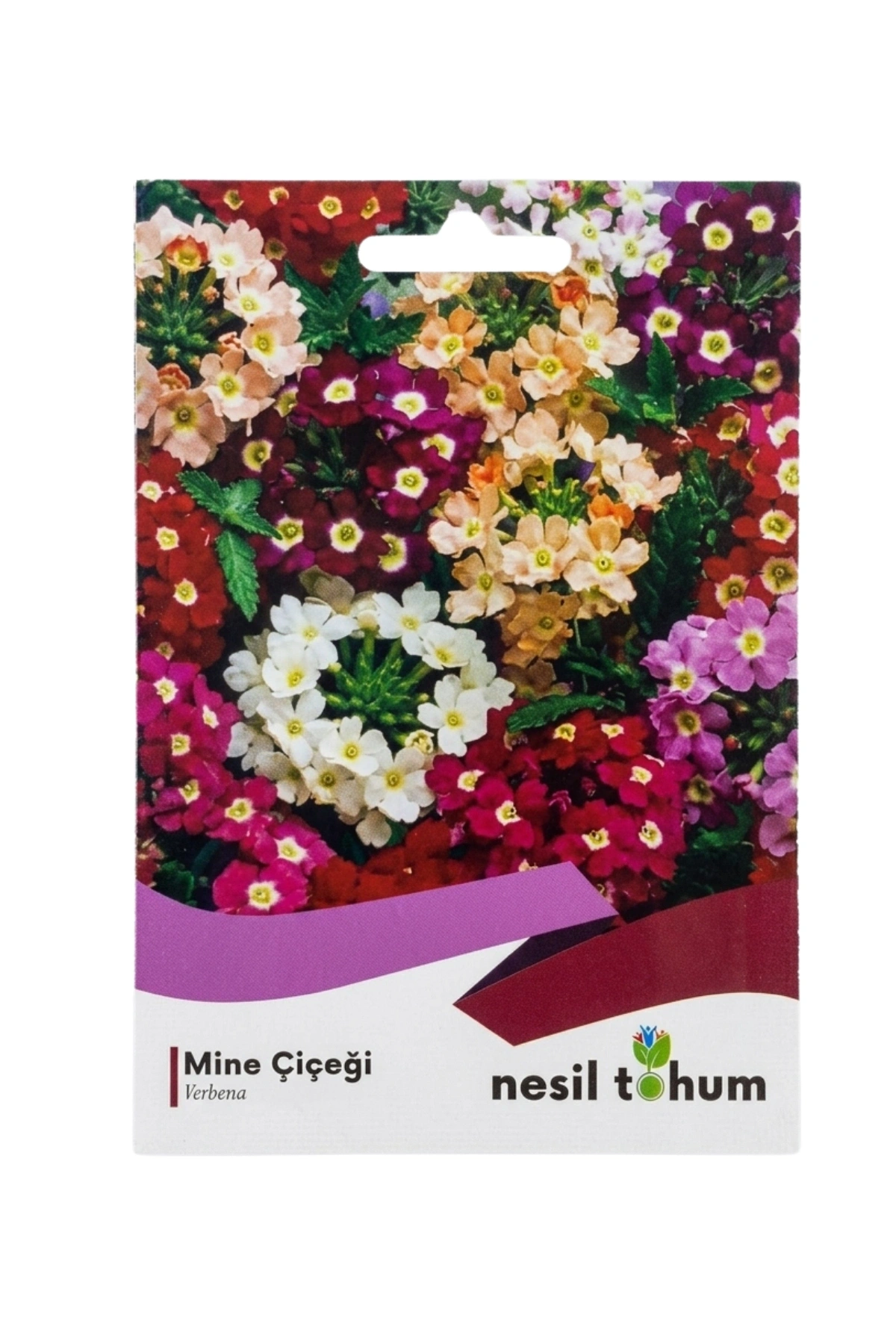 Mine Çiçeği Tohumu