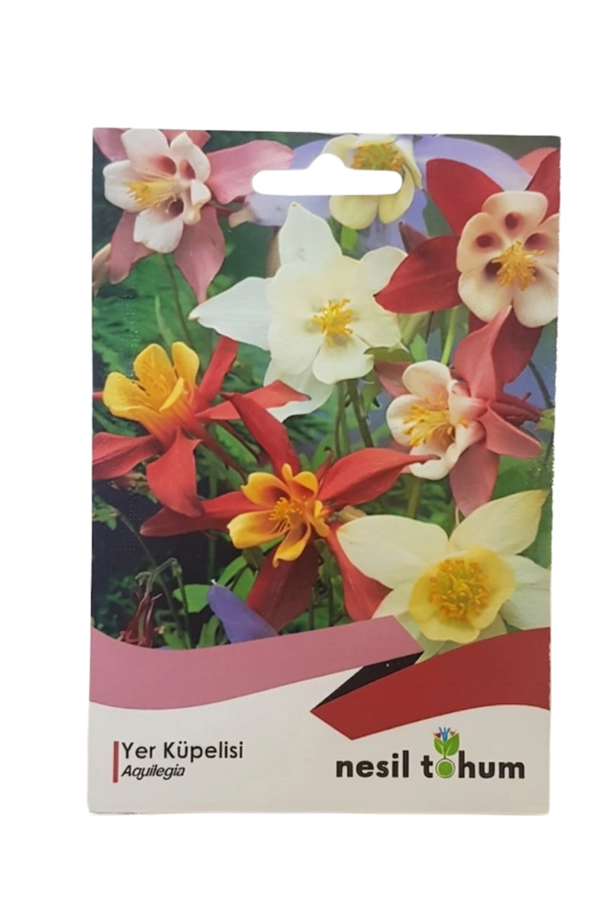 Yer Küpelisi Çiçeği Tohumu