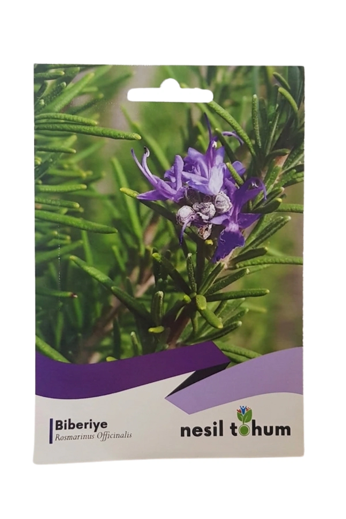 Biberiye Tohumu