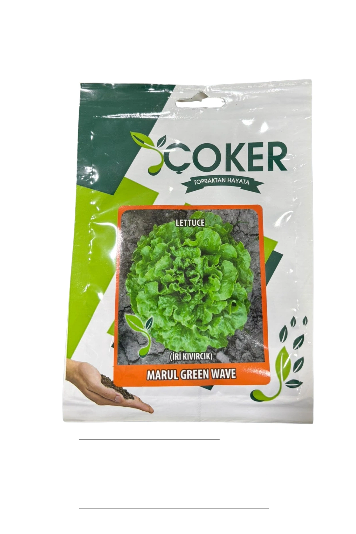Çoker İri Kıvırcık Marul Tohumu 10 Gr