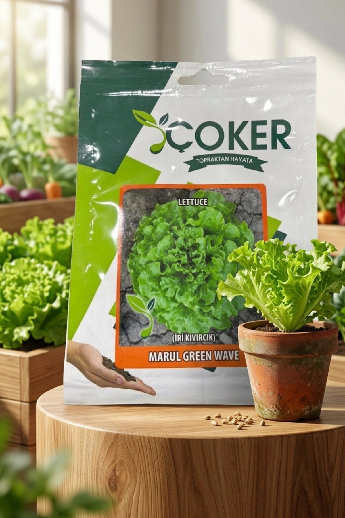 Çoker İri Kıvırcık Marul Tohumu 10 Gr