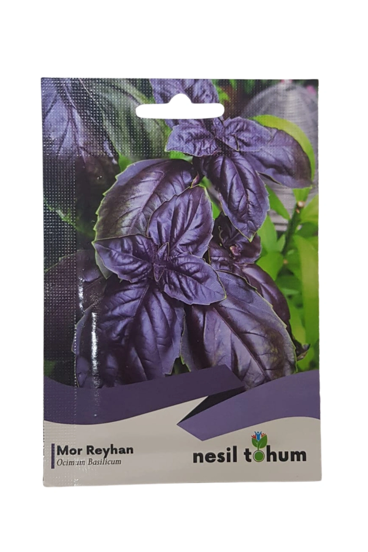 Mor Reyhan Tohumu