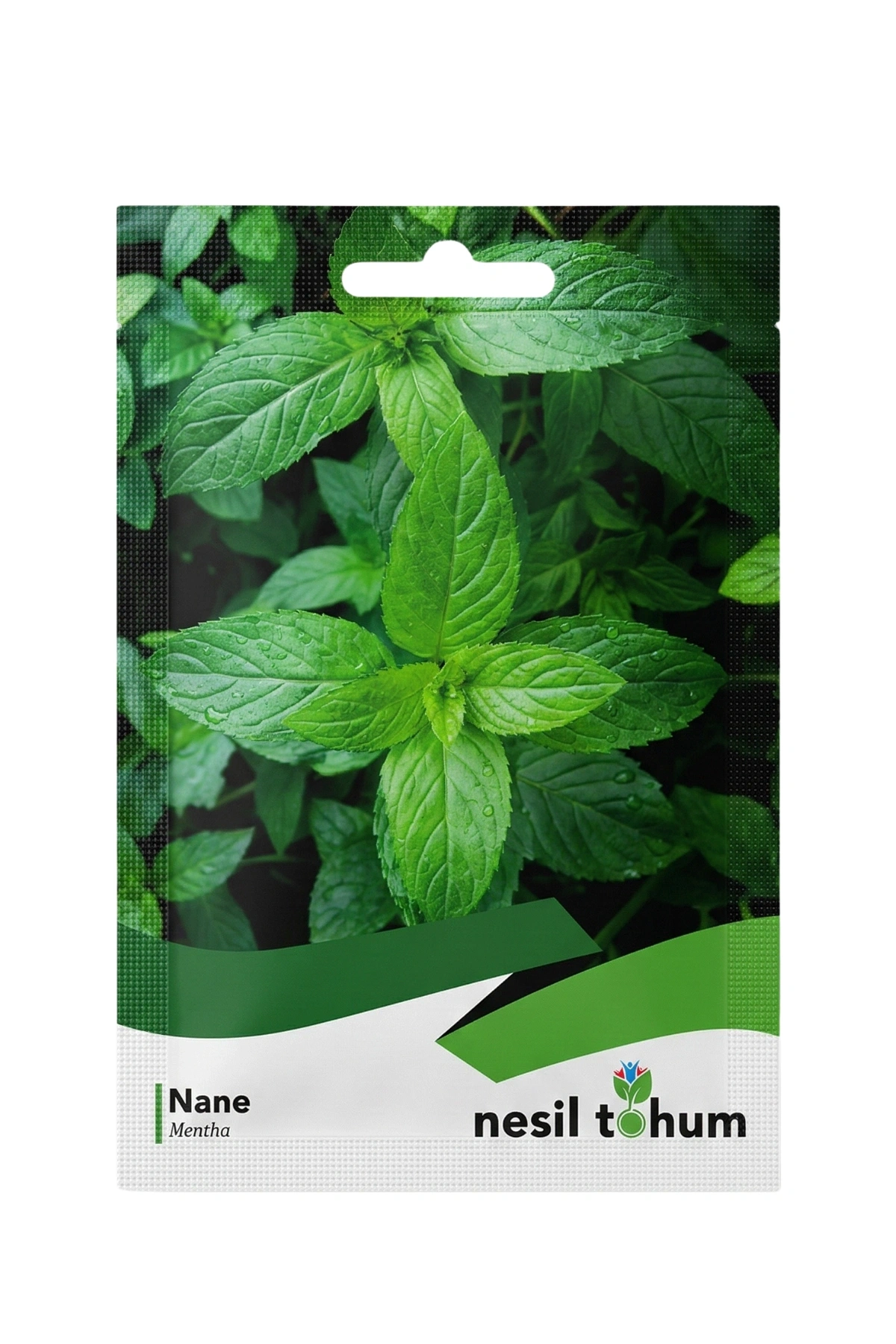 Nesil Tohum Nane(Mentha) Tohumu