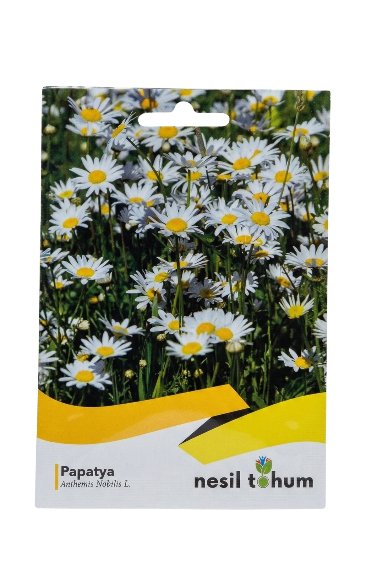 Nesil Tohum Papatya Tohumu(100 Adet)