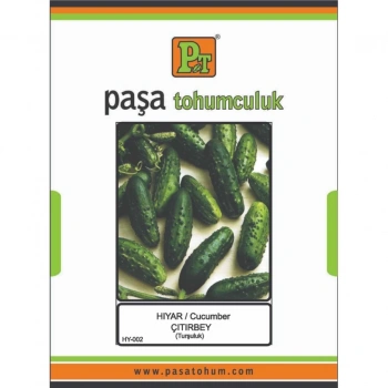 PAŞA ÇITIRBEY (KORNİŞON) HIYAR TOHUMU 10 GR