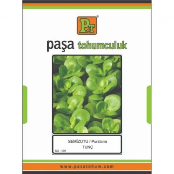 PAŞA SEMİZOTU - TUNÇ (SARI FRENK TİPİ) TOHUMU 10 GR