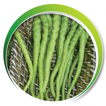 MAKROGEN ALMİNA ACI KIL TOHUMU 25 GR