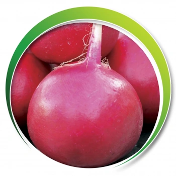 MAKROGEN ROYAL KIRMIZI TURP TOHUMU 25 GR